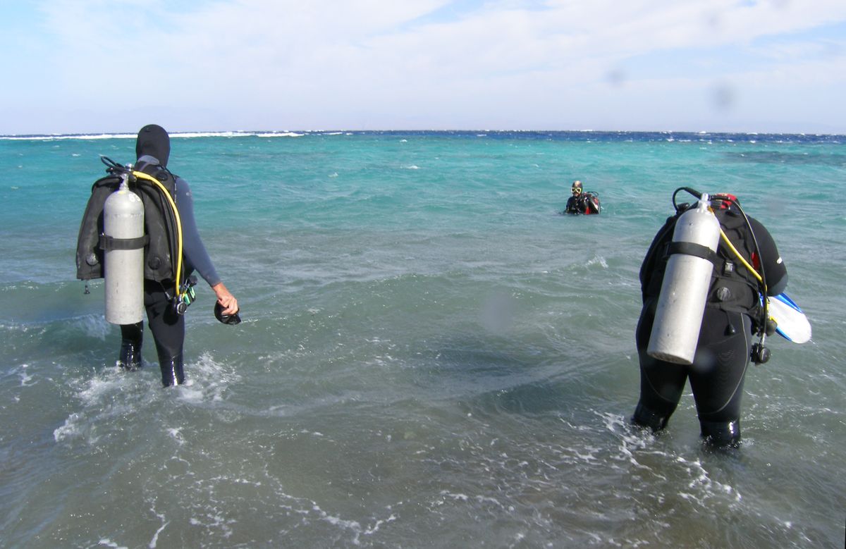 dahab_eel_garden_walkin.jpg