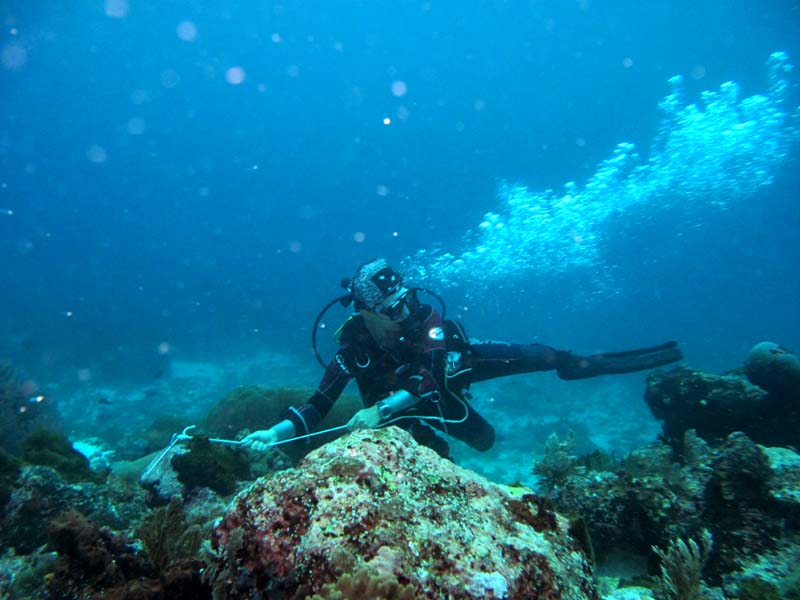 raja_ampat_paradise_drift_1.jpg