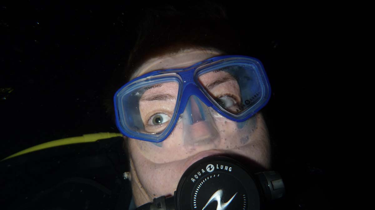 portre_nightdive1.jpg